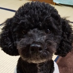 AI`s　フラワー
