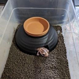 かりんはうす