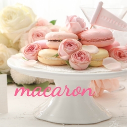 ♡macaron♡