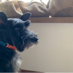 ジー二とあみや