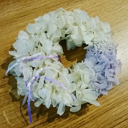 sora-flower-k