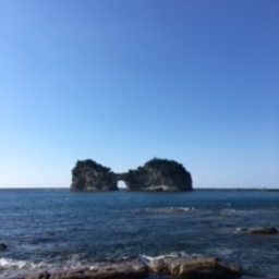今日もイキイキ