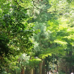 moritorie(モリトリー)