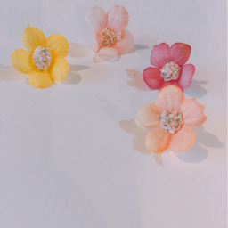 Fiore
