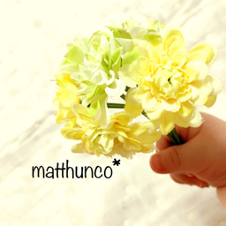 matthunco*