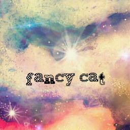 Fancy Cat 