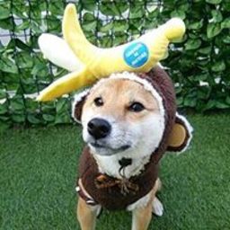 らら