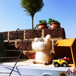 小池屋