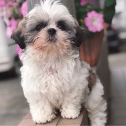 ぼくのおもちゃ箱🧸