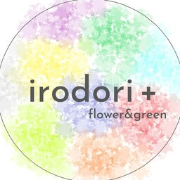 irodorip8819