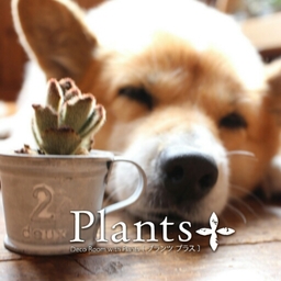 plants-plus