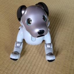 mahohon11