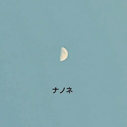 ナノネ