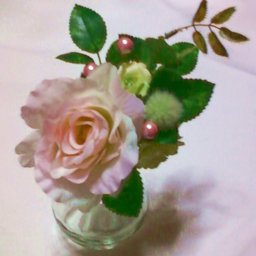 M_WILDROSE