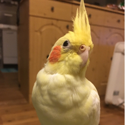 まりん本舗