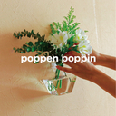 poppenpoppin