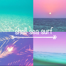 shell sea surf