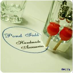 PondFieldHouse