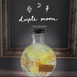 二月鉱石植物雑貨【duple moon】
