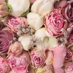 可愛い雑貨屋さん