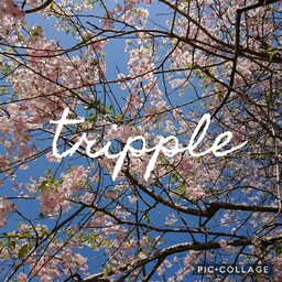 tripple