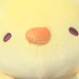 lily
