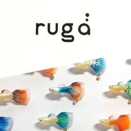 ruga