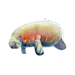 manatee-go