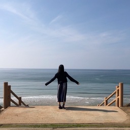 こま
