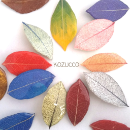 kozucco 