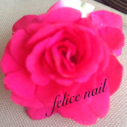 ✴︎felicenail✴︎