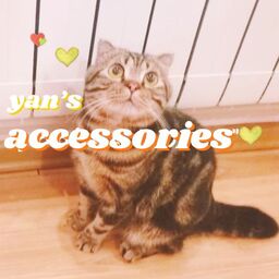 yan`s accessories