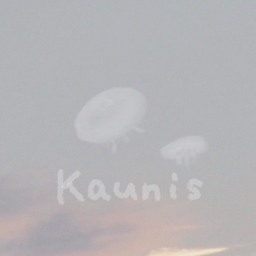 ゆこ