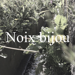 Noix bijou｟ノワ ビジュー｠