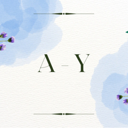 A-Y