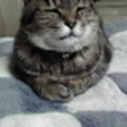 rene