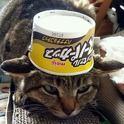たにむら れおん
