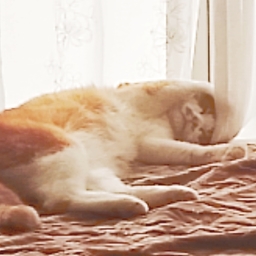 mintcat333