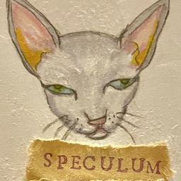 speculum