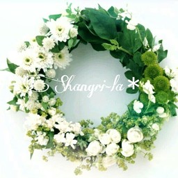 Shangri-la＊