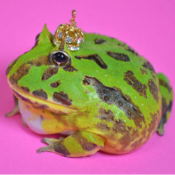 Grenouille