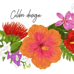 colibri design