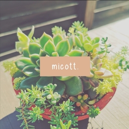 micott.