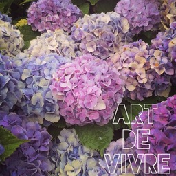 artdevivre