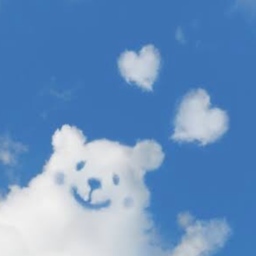 sola kuma