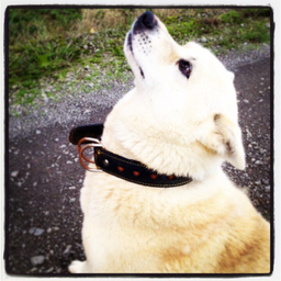 U Handmade Accessory