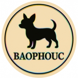 ＊BAO＊PHOUC＊