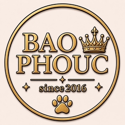 ＊BAO＊PHOUC＊