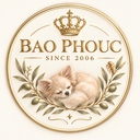 ＊BAO＊PHOUC＊