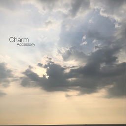 Charm  Accessory